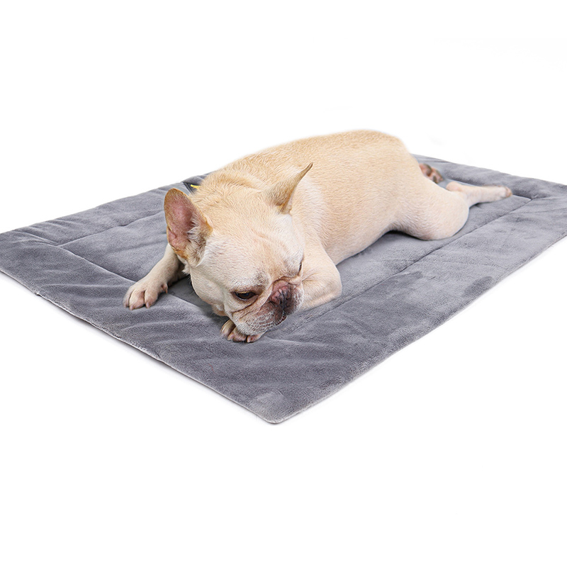AeroDen Self-Warming Pet Bed, in use