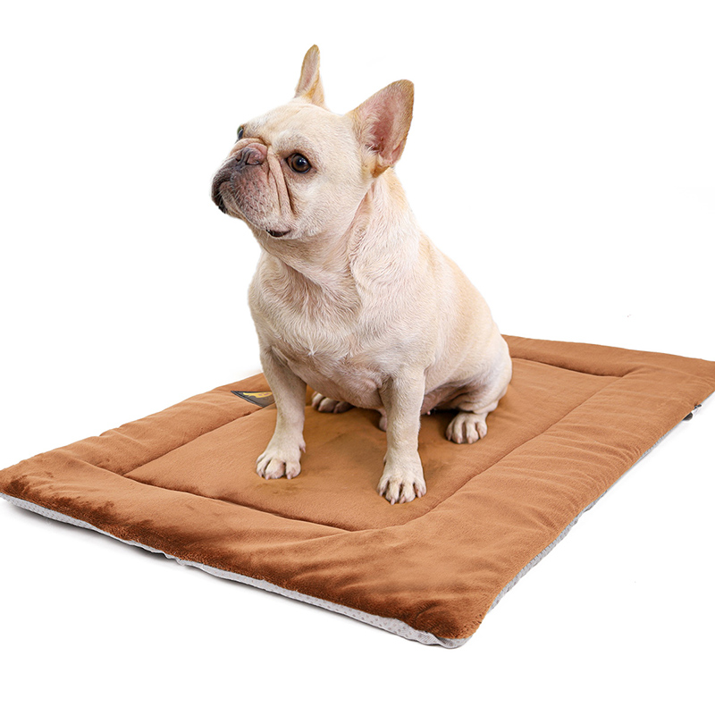 AeroDen Self-Warming Pet Bed, in use